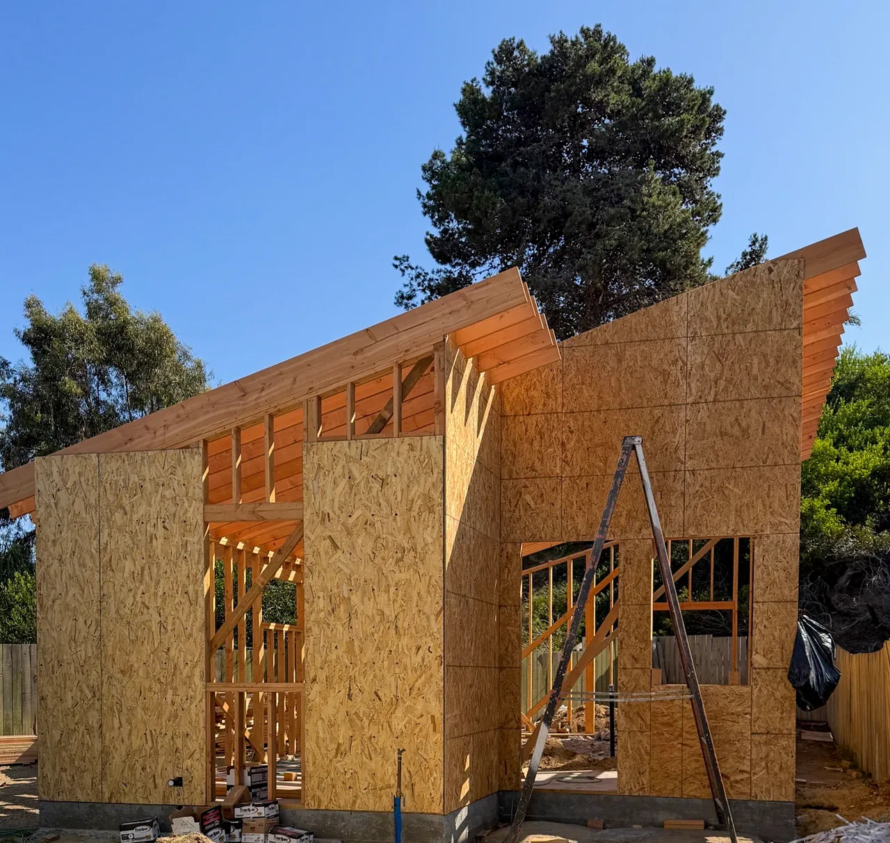 ADU shell with its butterfly roof framed and the walls sheathed