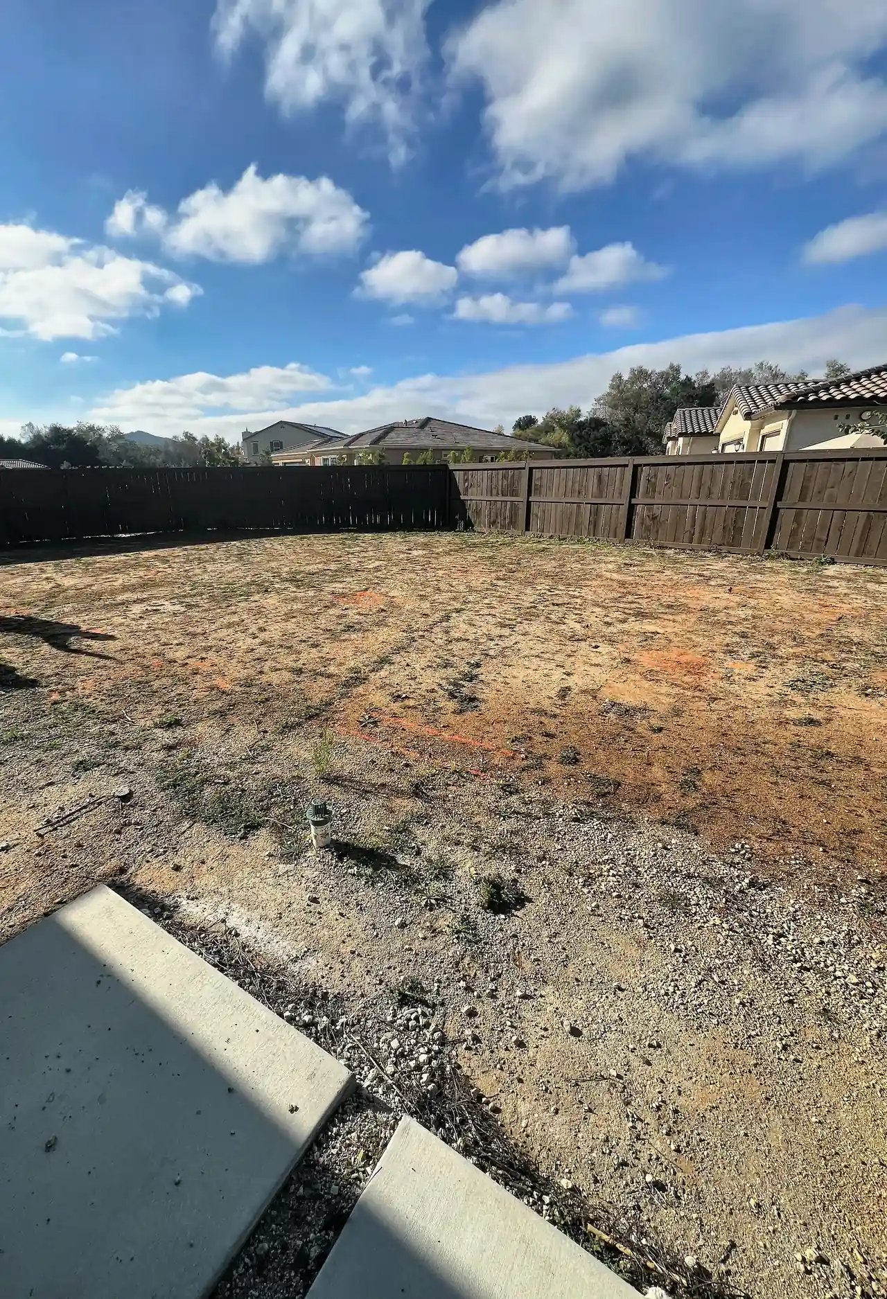 The yard just before the pool was dug
