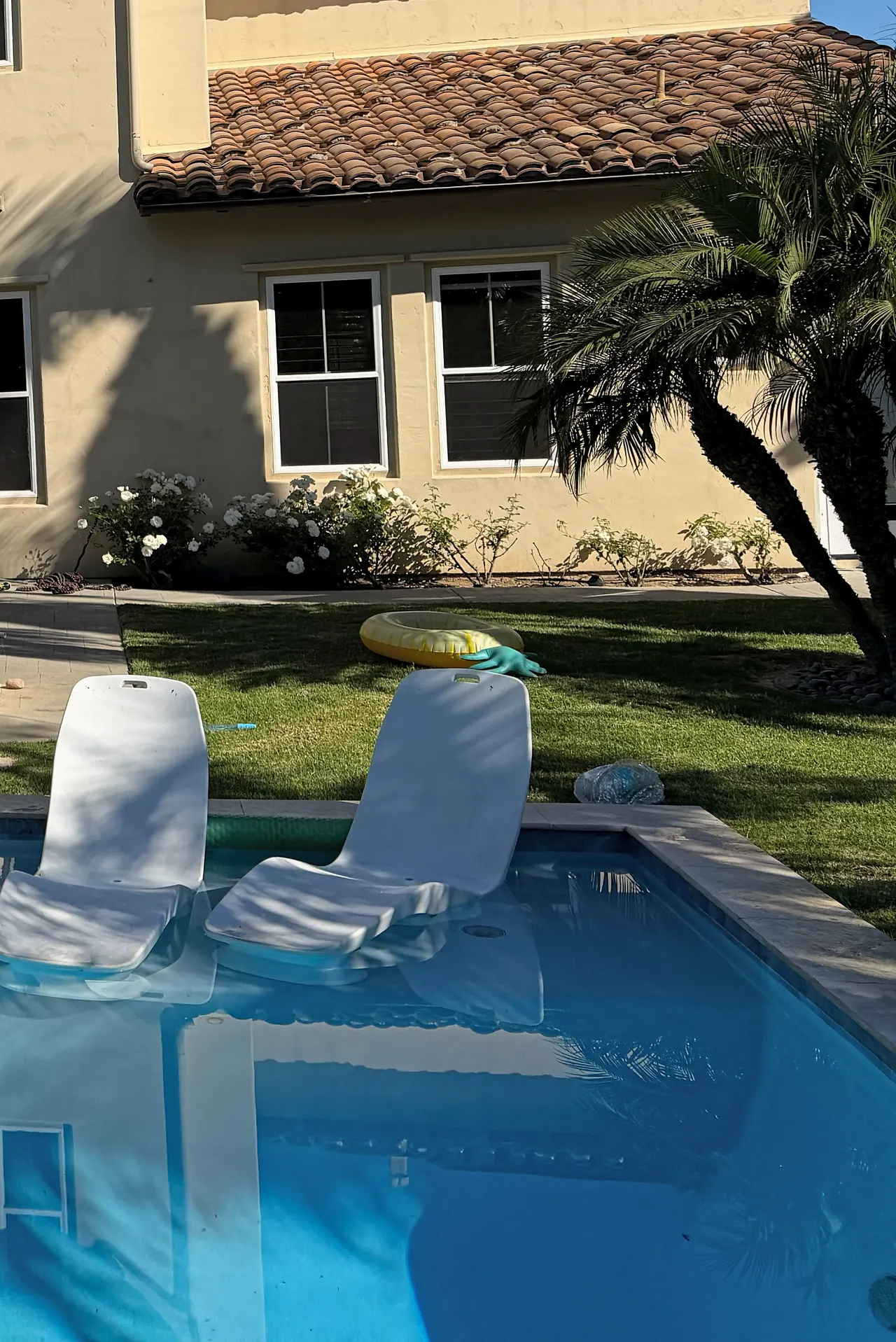 New pool with two loungers in the shallow water, behind a San Diego house