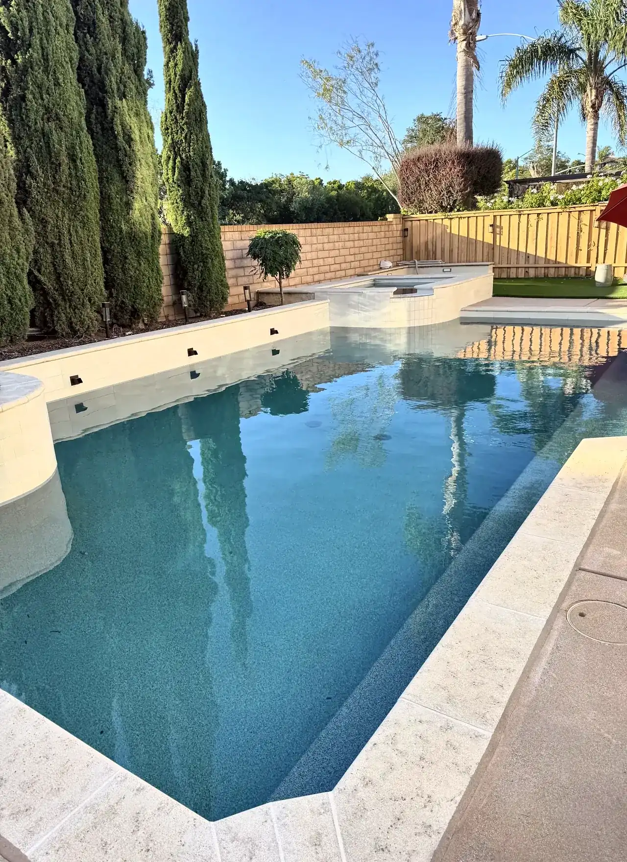 Pool and spa with palm trees