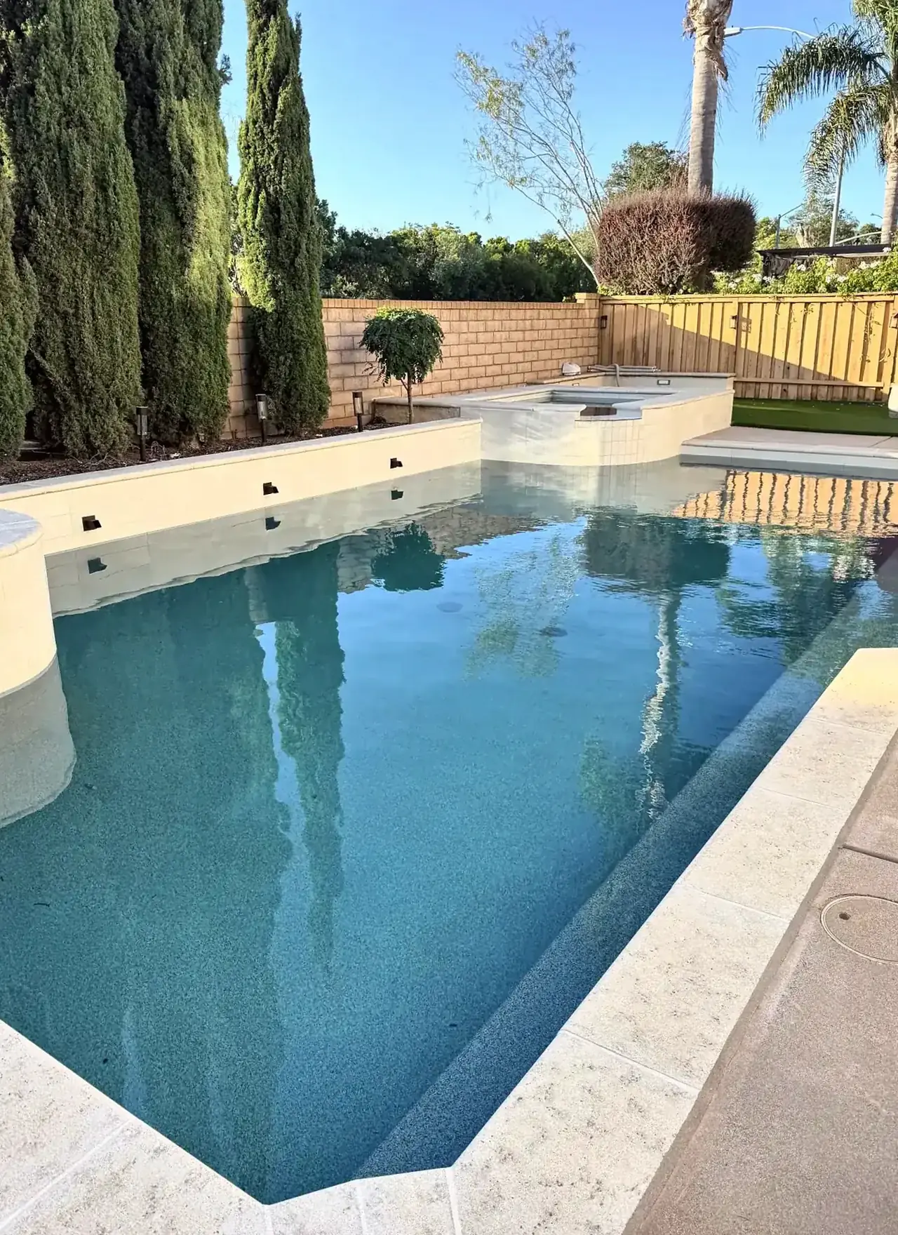 Pool and spa with palm trees